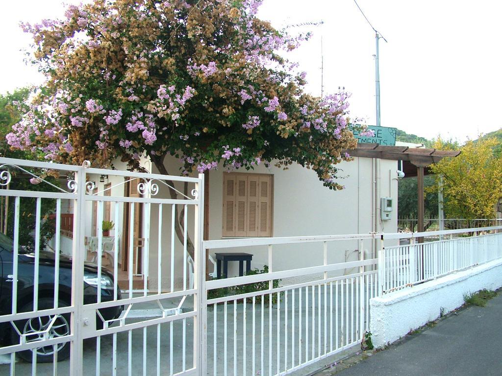 George'S Apartment Agia Marina  Habitación foto